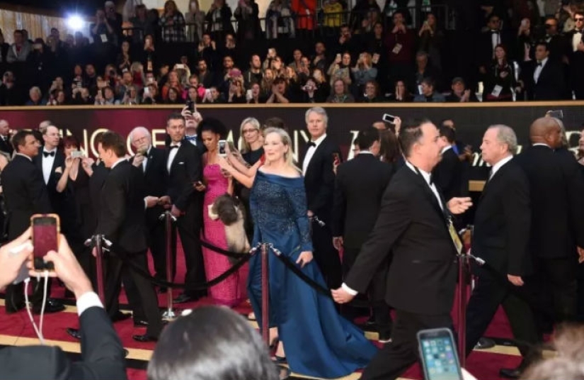 22 facts about the Oscar ceremony that you hardly know about