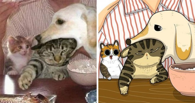 22 funny cat photos from the web that were turned into cartoon illustrations