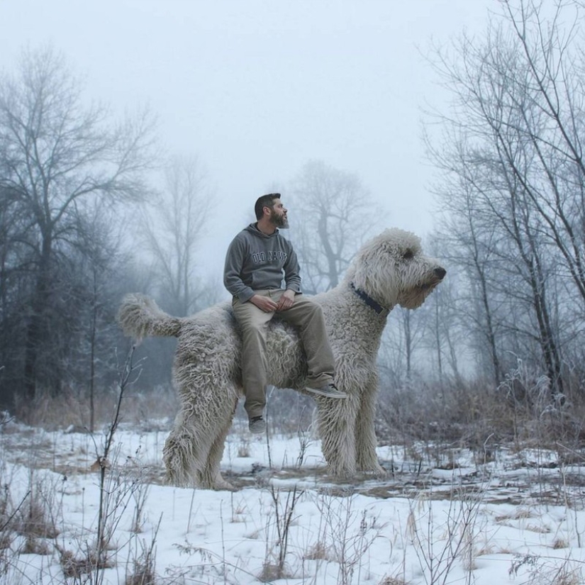 22 funny photos about the incredible adventures of a photographer and his "giant" dog