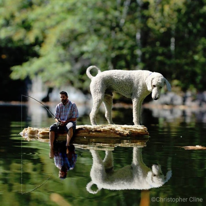 22 funny photos about the incredible adventures of a photographer and his "giant" dog