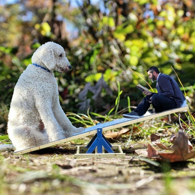 22 funny pictures about the incredible adventures of a photographer and his giant dog