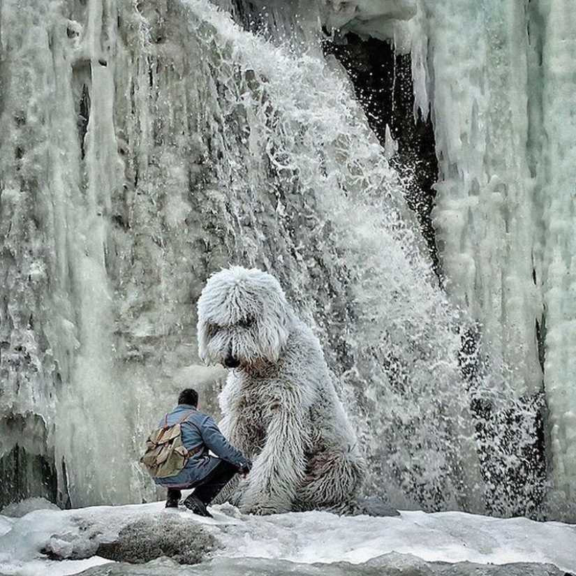 22 imágenes divertidas acerca de las increíbles aventuras de un fotógrafo y su perro gigante