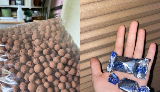 22 inedible items that you just want to eat