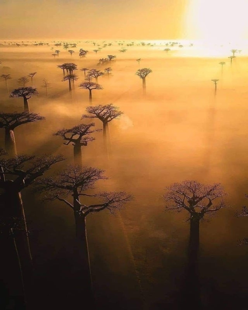 22 photos that will help you appreciate the greatness of Mother Nature