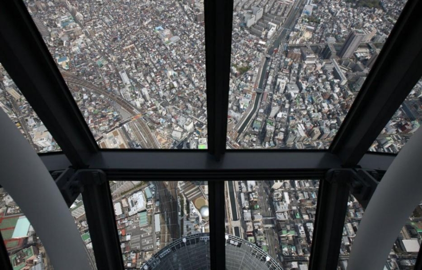 24 vertiginosas atracciones en todo el mundo