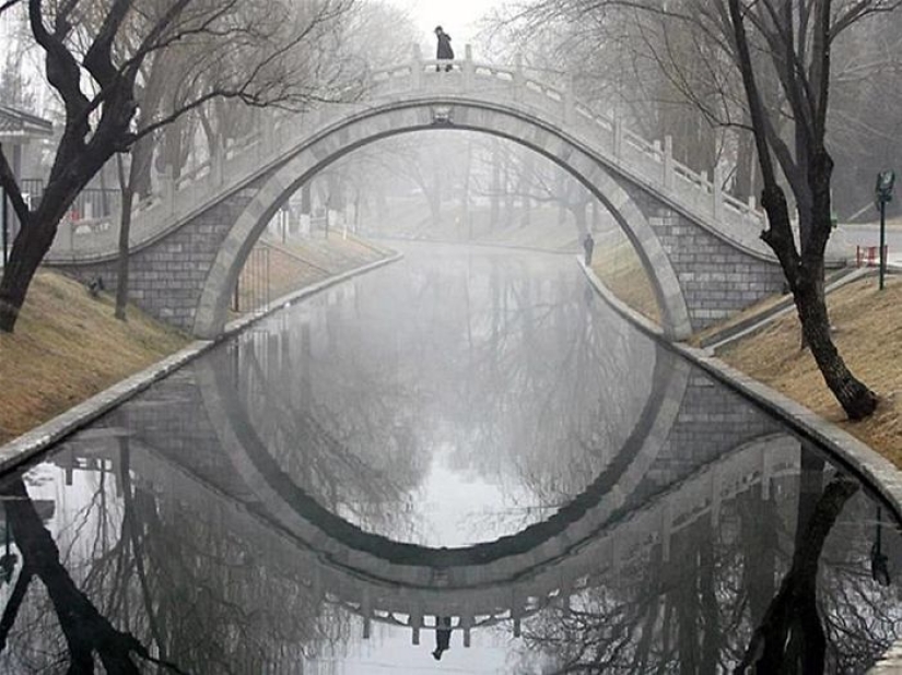 25 photos in which it is unclear where the reflection is and where the reality is