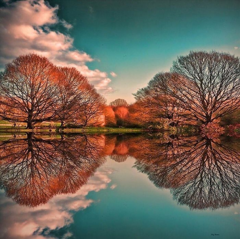 25 photos in which it is unclear where the reflection is and where the reality is