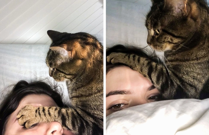 25 photos that tell of a secret life with cats