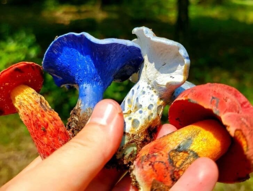 30 amazing finds created by nature and people