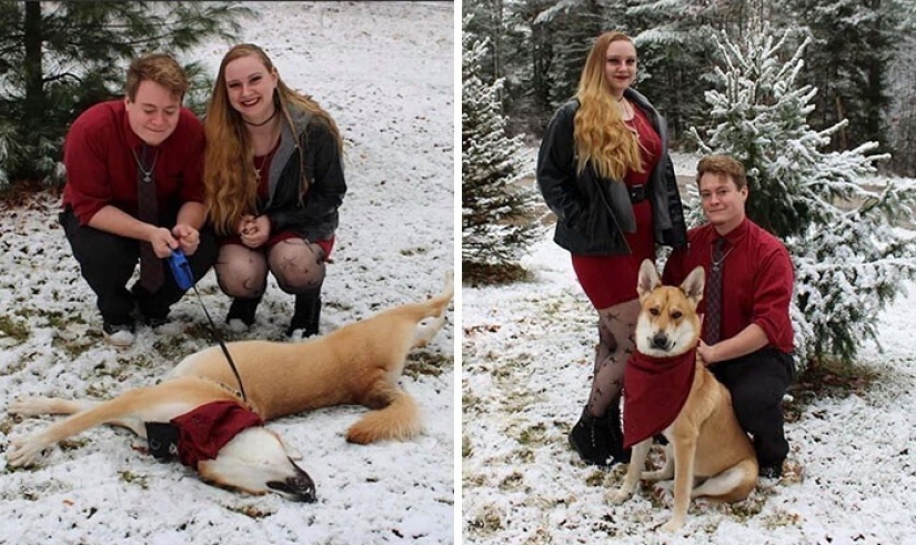 30 family photos who would not be so funny, if not for Sobakina