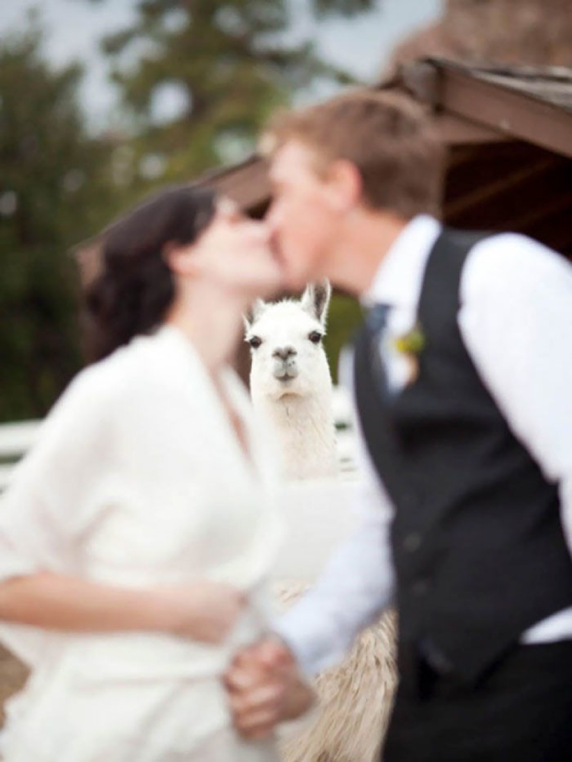 30 fotos de boda irremediablemente jodidas