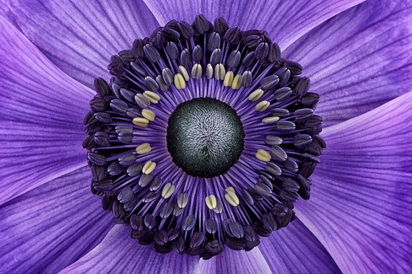 30 harmonious photos with perfect symmetry