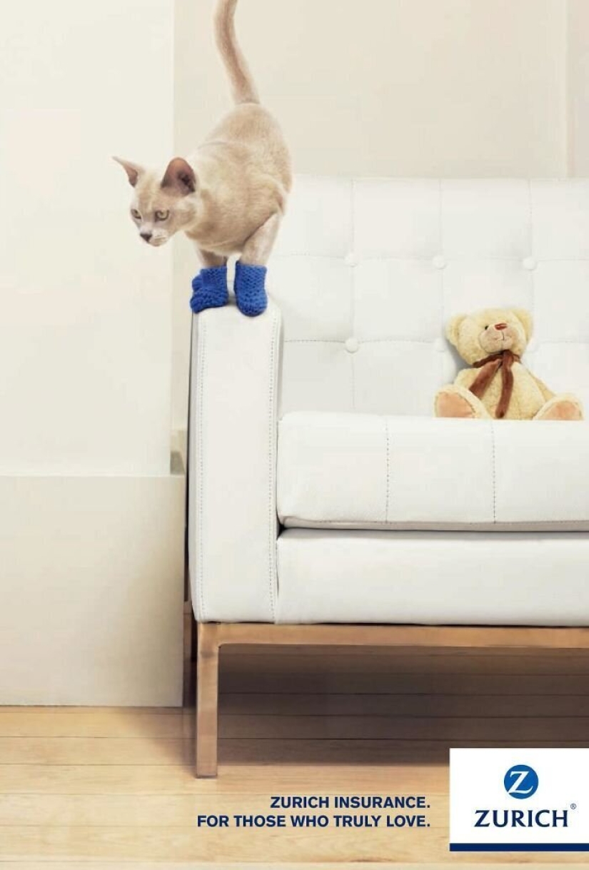 33 examples of the most creative and funny cat ads
