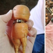 35 amazing finds that people have shared online