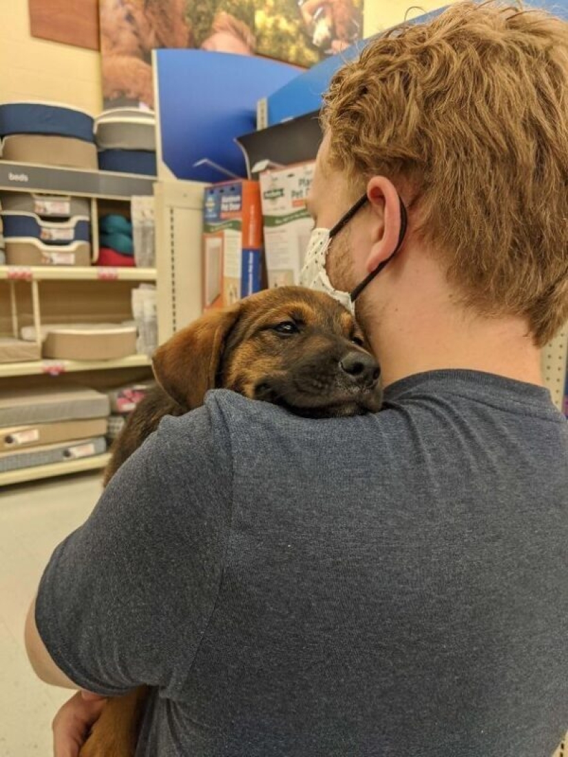 35 animals from shelters who were very lucky to meet "their" person