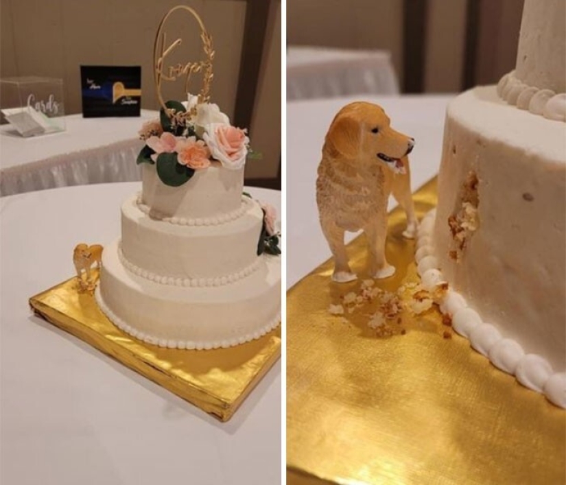 35 funny moments from weddings that made the holiday only better
