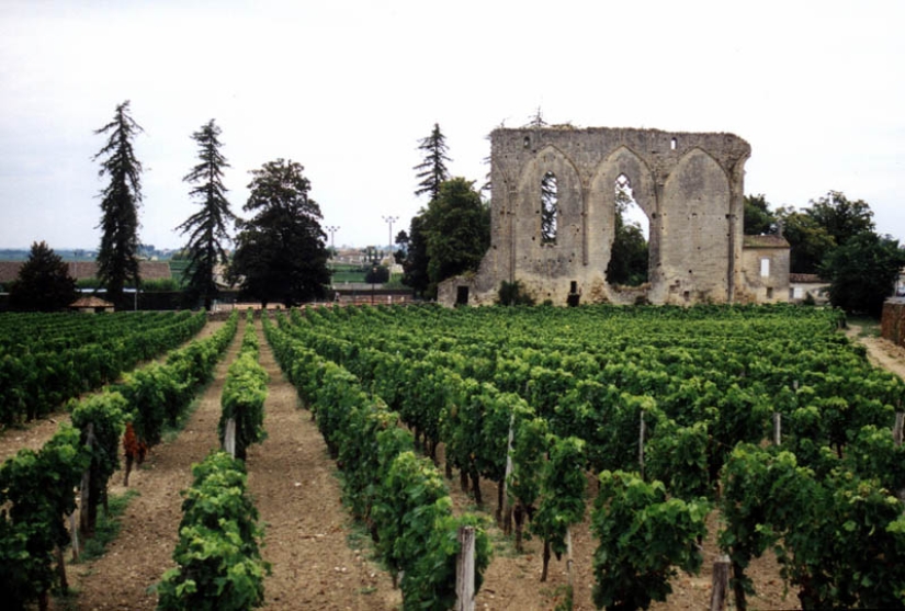 35 most beautiful vineyards in the world