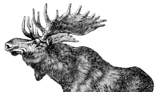 5 extinct animals that used to live in Russia