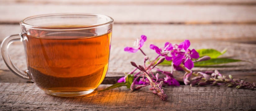 5 hierbas silvestres que se preparan mejor en té para calentar