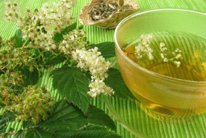 5 Wild Herbs Best Made in Tea to Warm Up