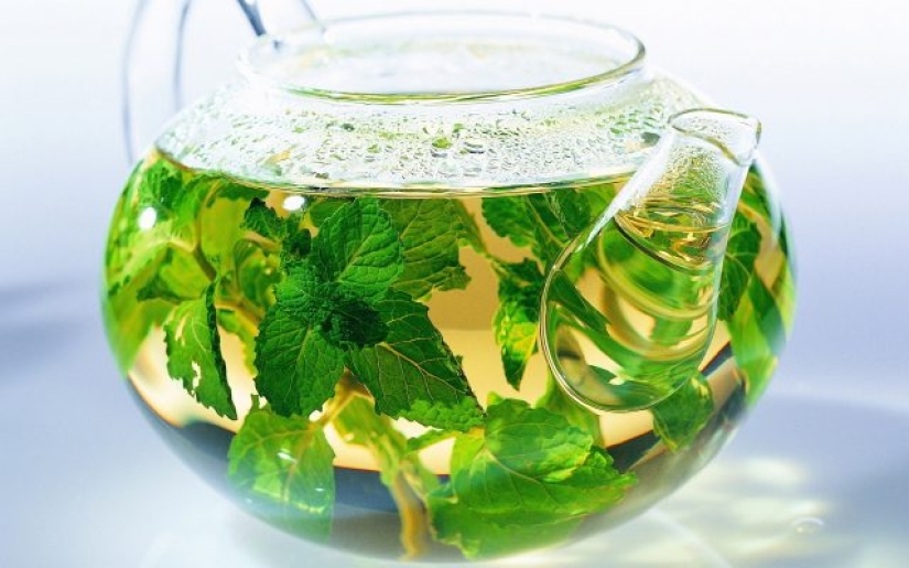 5 Wild Herbs Best Made in Tea to Warm Up