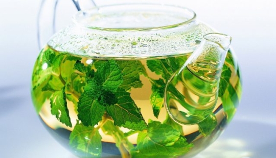 5 Wild Herbs Best Made in Tea to Warm Up