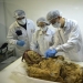 500 años de la momia de un monje puede dar la respuesta a por qué sufren de reumatismo