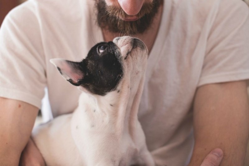 7 facts about the benefits of Pets for human health