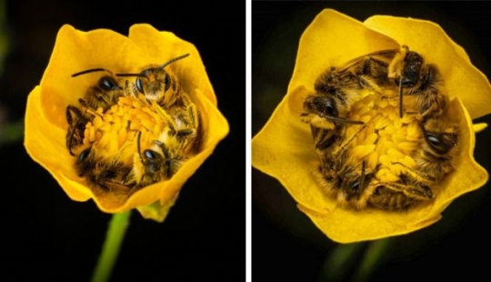 7 fotos que nos ayudan a mirar el mundo en el que vivimos desde un nuevo ángulo