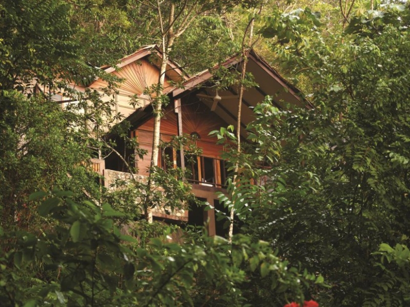 7 hoteles que hicieron realidad el sueño de la infancia de una casa en el árbol