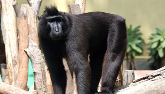 7 weirdest and scariest animals you should run from