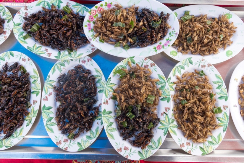8 platos únicos de Tailandia que satisfarán a cualquier gourmet