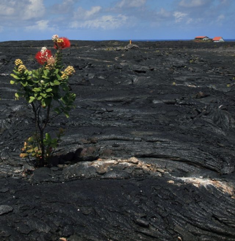 8 poderosas fotos que prueban que nuestro planeta todavía tiene una oportunidad