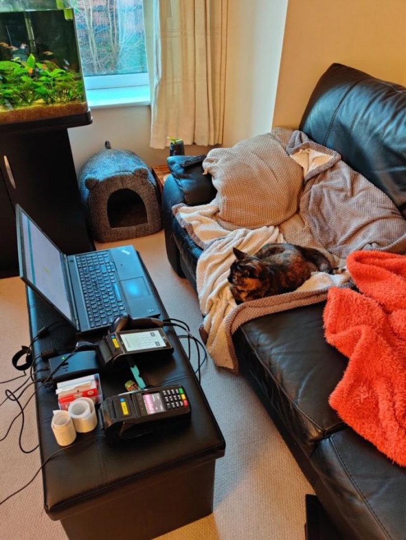 8 Reddit Users Revealed What Happens When They Work From Home