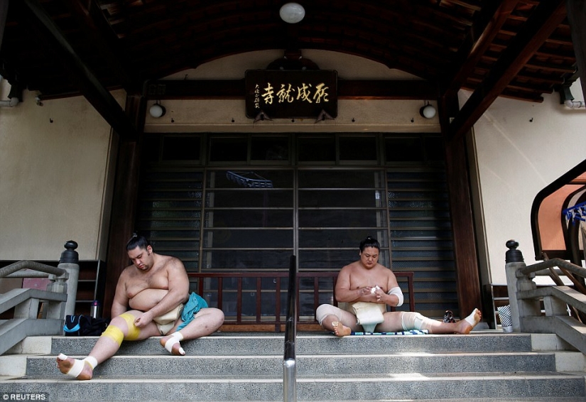 8000 calories a day and oxygen masks: how sumo wrestlers live