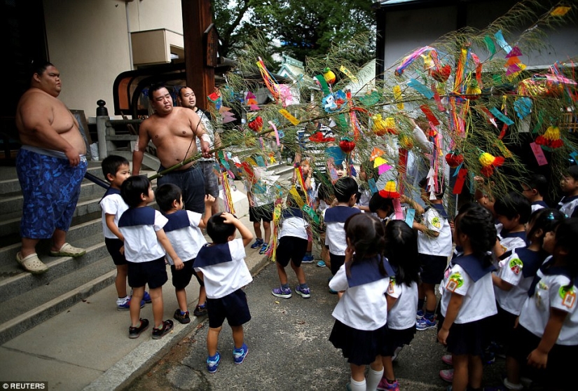 8000 calories a day and oxygen masks: how sumo wrestlers live