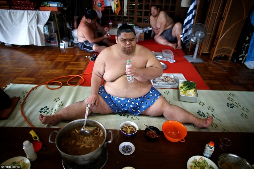 8000 calories a day and oxygen masks: how sumo wrestlers live