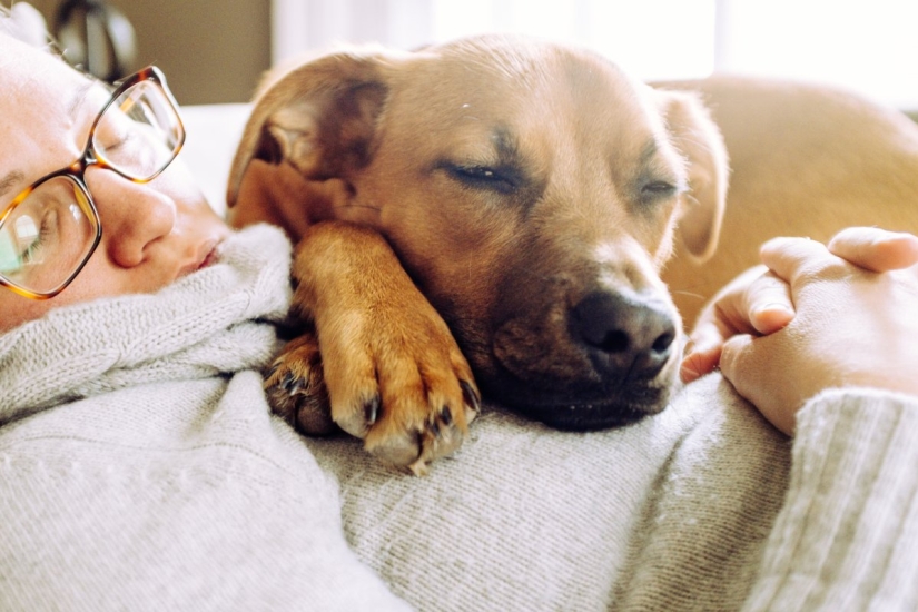 9 scientifically proven reasons to get a dog