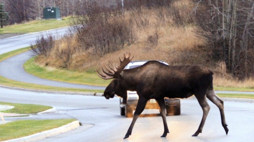 9 things you might not know about Canada