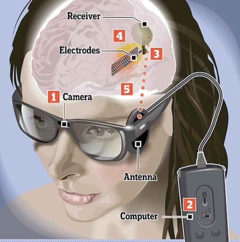 A bankrupt company has abandoned its clients with brain implants to the mercy of its own