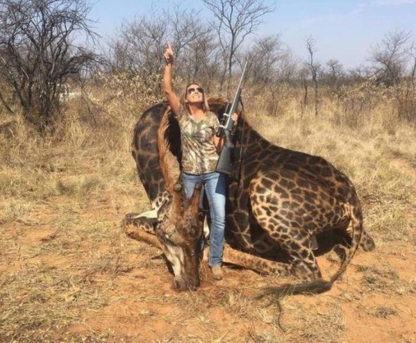 A bloodthirsty huntress killed a rare black giraffe and sewed a holster from its skin