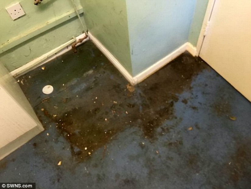 A British woman, after learning that an elderly neighbor had not cleaned or washed for 13 years, changed her life