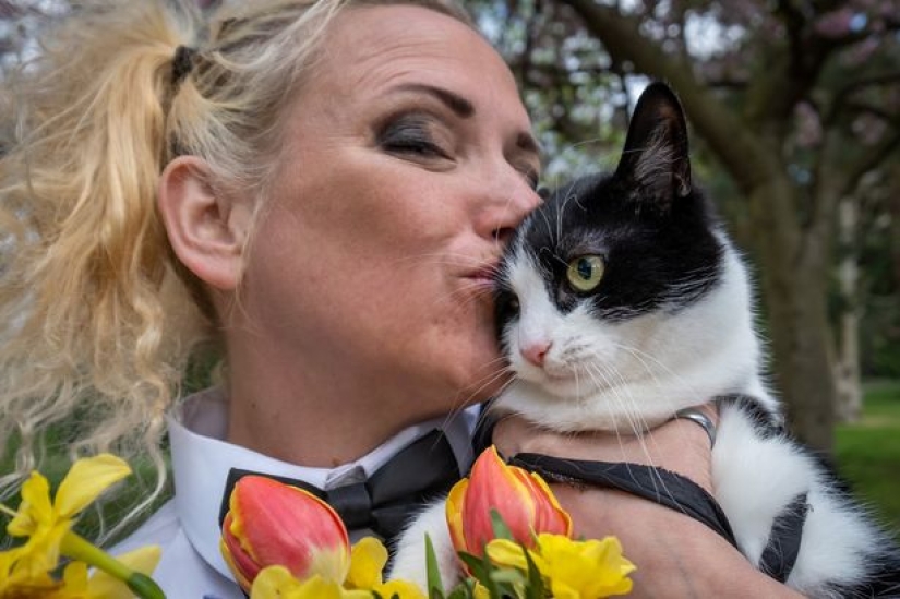 A British woman married a cat so that they would not be separated