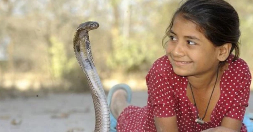 A cobra girl from India gets along well with dangerous snakes