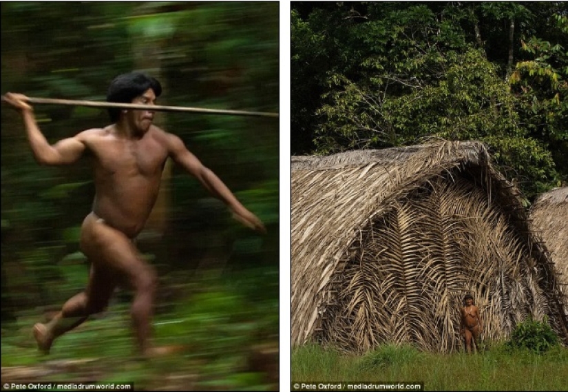 A friend among strangers: the photographer made friends with a tribe almost untouched by civilization