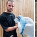A German blogger showed how he eats a dolphin and became an object of hatred. The prank had to be urgently exposed