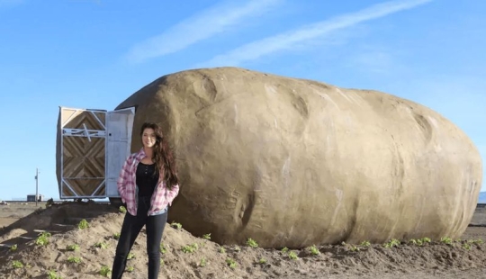 A giant "potato" that was turned into a mini-hotel