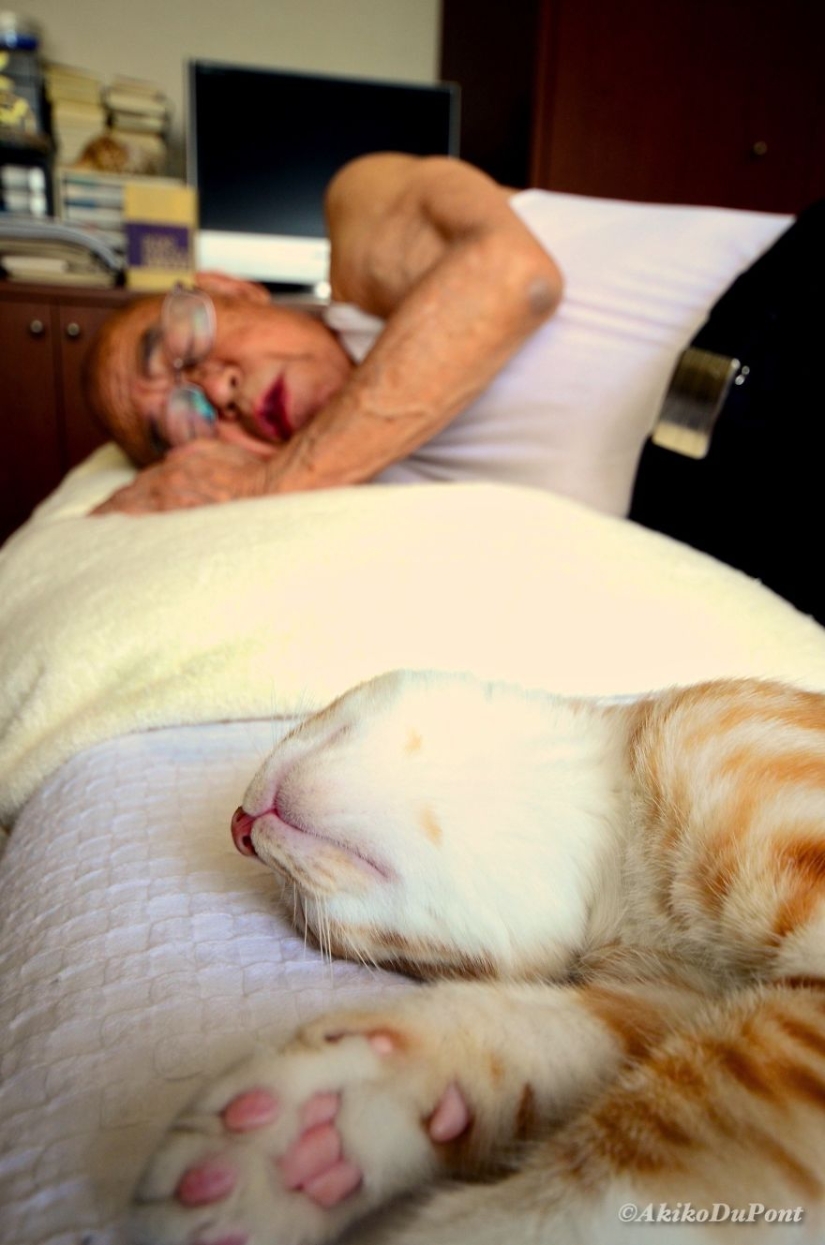A Japanese woman brought her grandfather back to life by giving him a kitten
