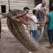 A man fought in a deadly fight with a seven-meter python