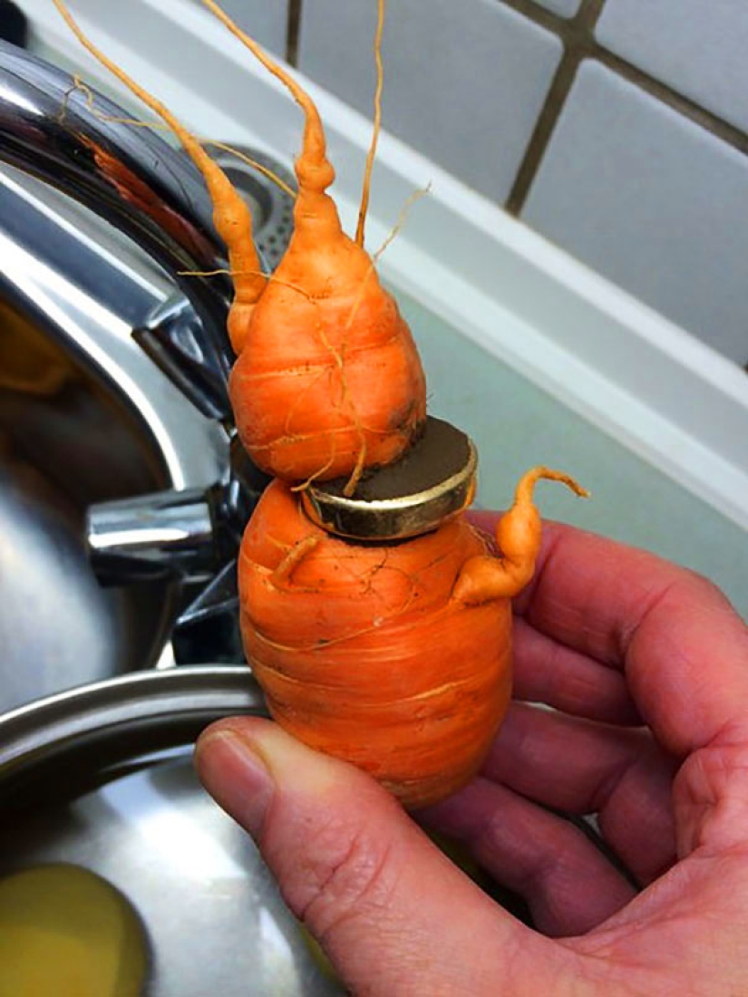 A man found an engagement ring lost three years ago on a carrot